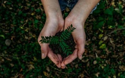 Harnessing The Power of Sustainability