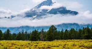 Montana Department of Environmental Quality